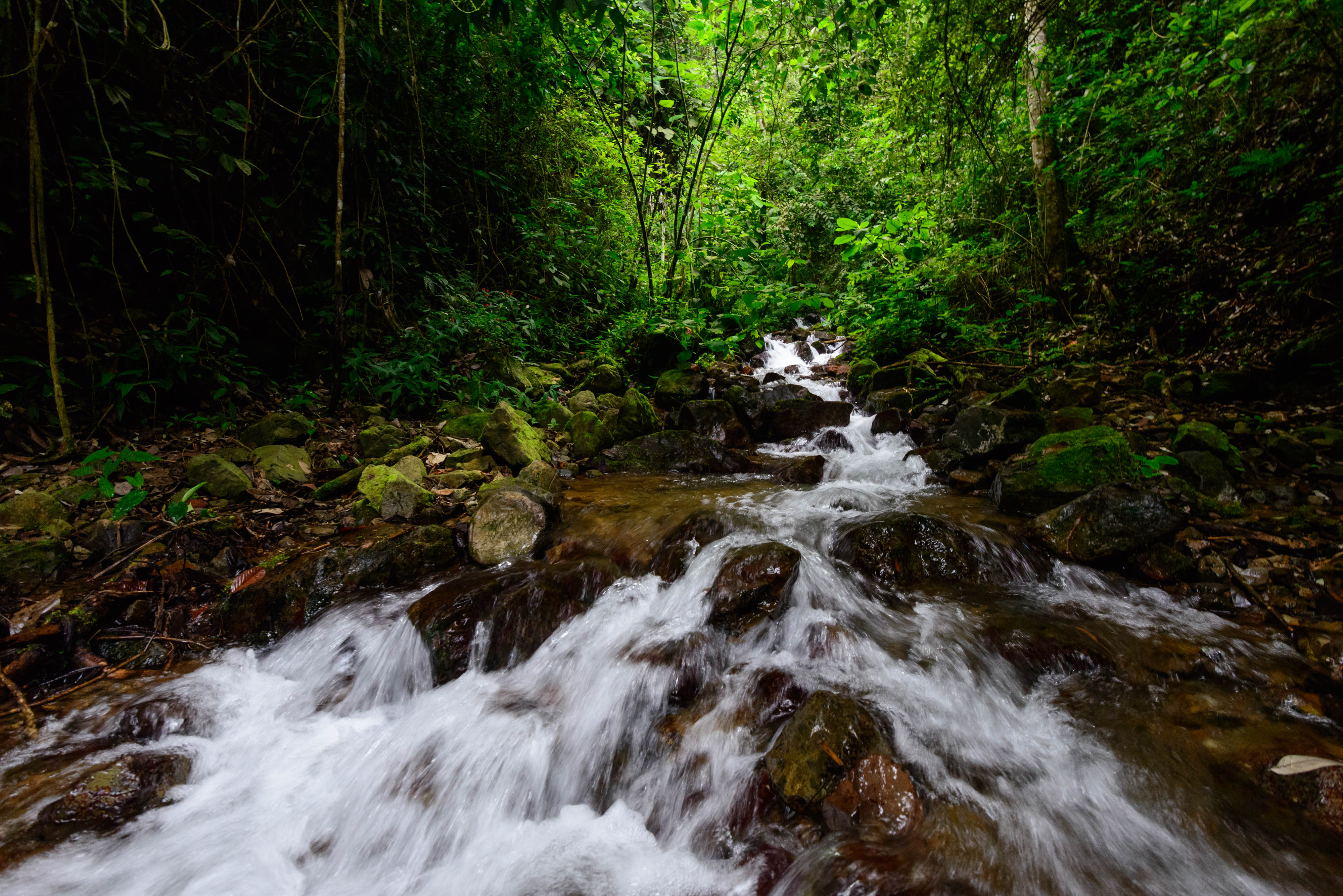 Water fund in Ecuador 