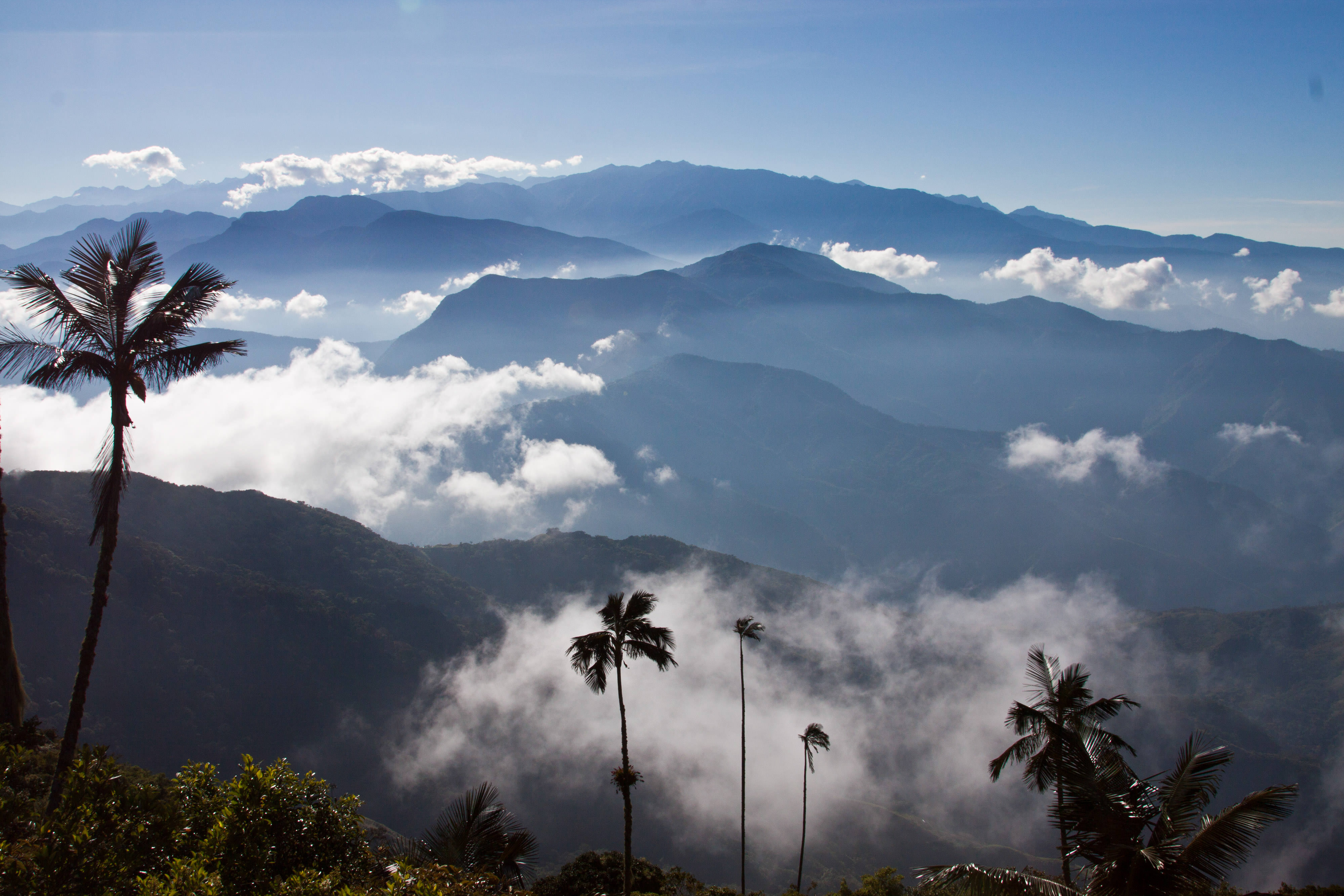 Santa Marta