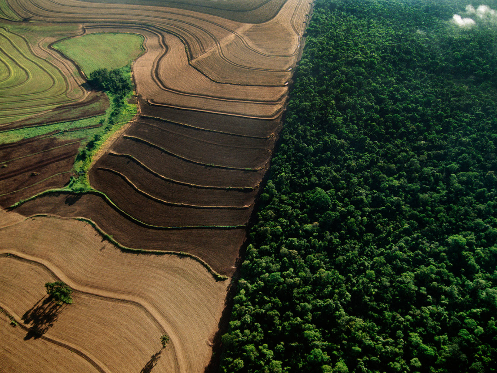 Parque Nacional Emas, Brasil