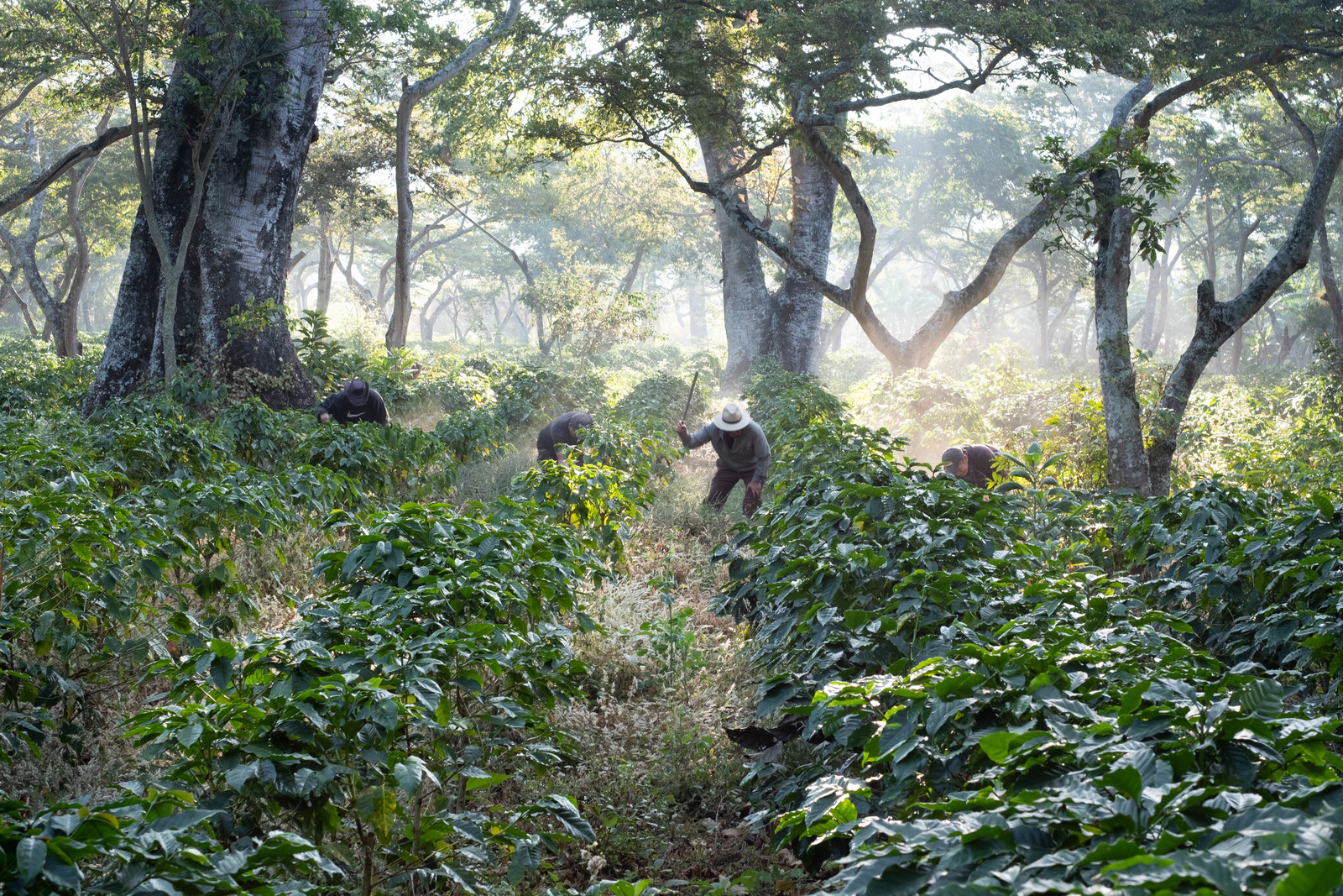 Fondo de agua Guatemala